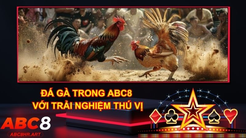 Tham gia Đá Gà hấp dẫn cùng nhà cái ABC8